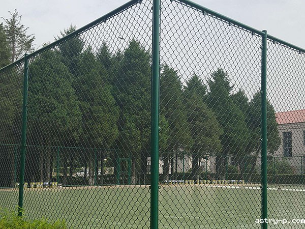 <a href=//www.astry-p.com target='_blank'>勾花网</a>1-案例.jpg