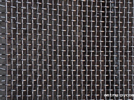 <a href=//www.astry-p.com target='_blank'>钢丝网</a>
